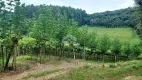 Foto 7 de Fazenda/Sítio com 1 Quarto à venda, 60000m² em Vale dos Vinhedos, Bento Gonçalves