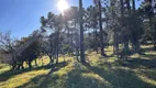 Foto 25 de Lote/Terreno à venda, 20000m² em Aguas Brancas, Urubici