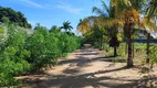 Foto 29 de Fazenda/Sítio com 4 Quartos à venda, 130m² em Zona Rural, São José de Mipibu