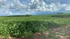 Foto 4 de Fazenda/Sítio com 1 Quarto à venda, 10m² em Zona Rural, Campo Alegre de Goiás