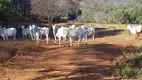 Foto 4 de Fazenda/Sítio com 4 Quartos à venda, 1220000m² em Area Rural de Montes Claros, Montes Claros