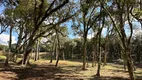 Foto 12 de Fazenda/Sítio à venda, 20000m² em Bateias de Baixo, Campo Alegre