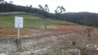 Foto 11 de Lote/Terreno à venda, 487m² em Areias, Camboriú