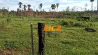 Foto 6 de Fazenda/Sítio à venda, 500000m² em Zona Rural, Humaitá