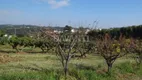 Foto 34 de Lote/Terreno à venda, 121000m² em , Louveira