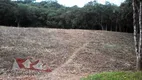 Foto 8 de Fazenda/Sítio com 9 Quartos à venda, 72600m² em Campina do Taquaral, São José dos Pinhais