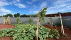 Foto 23 de Casa com 3 Quartos à venda, 203m² em Fraron, Pato Branco