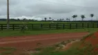 Foto 6 de Fazenda/Sítio à venda, 400m² em Divino Espirito Santo, Mineiros