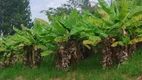 Foto 11 de Fazenda/Sítio com 6 Quartos à venda, 37000m² em Joaquim Egídio, Campinas