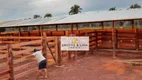 Foto 18 de Fazenda/Sítio com 10 Quartos à venda, 800m² em Setor Central, Araguaína