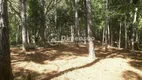 Foto 14 de Lote/Terreno à venda, 50922m² em Ratones, Florianópolis