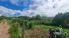 Foto 2 de Fazenda/Sítio com 8 Quartos à venda, 5000m² em Zona Rural, Cocalzinho de Goiás