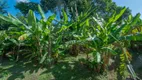 Foto 67 de Fazenda/Sítio com 12 Quartos à venda, 54000000m² em Centro, Paraíba do Sul