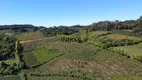 Foto 2 de Lote/Terreno à venda em Vale dos Vinhedos, Bento Gonçalves