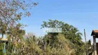 Foto 10 de Fazenda/Sítio com 3 Quartos à venda, 70m² em Sao Luiz, Paulínia