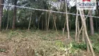 Foto 29 de Lote/Terreno à venda, 299m² em Campestre, São Leopoldo