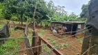 Foto 9 de Fazenda/Sítio com 3 Quartos à venda, 1500m² em Zona Rural, Jataizinho