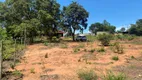 Foto 4 de Fazenda/Sítio com 2 Quartos à venda, 110m² em Zona Rural, Jaraguari