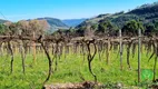 Foto 7 de Fazenda/Sítio à venda, 70000m² em Zona Rural, Monte Belo do Sul