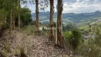 Foto 20 de Lote/Terreno à venda, 148000m² em Faria Lemos, Bento Gonçalves