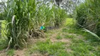 Foto 33 de Fazenda/Sítio com 3 Quartos à venda, 50000m² em Zona Rural, Itutinga