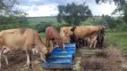 Foto 5 de Fazenda/Sítio com 4 Quartos à venda, 92000m² em Zona Rural, Abadiânia