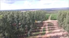 Foto 2 de Fazenda/Sítio à venda, 3291m² em Area Rural de Catalao, Catalão
