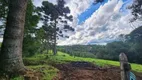 Foto 14 de Fazenda/Sítio com 3 Quartos à venda, 248m² em Campo Largo da Roseira, São José dos Pinhais