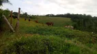 Foto 25 de Fazenda/Sítio com 2 Quartos à venda, 550000m² em Zona Rural, Pariquera-Açu