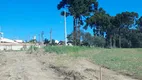 Foto 14 de Lote/Terreno à venda, 75000m² em Centro, Campo do Tenente