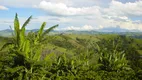 Foto 20 de Fazenda/Sítio à venda, 150000m² em Zona Rural, Socorro