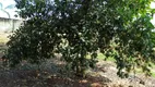 Foto 21 de Fazenda/Sítio com 2 Quartos à venda, 250m² em Sitio Recreio Encontro das Aguas, Hidrolândia