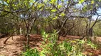 Foto 23 de Casa de Condomínio com 4 Quartos à venda, 5000m² em Condominio Quintas de Casa Branca, Brumadinho