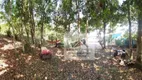 Foto 7 de Fazenda/Sítio com 4 Quartos à venda, 12800m² em Vargem Pequena, Florianópolis