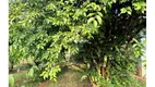 Foto 6 de Fazenda/Sítio com 3 Quartos à venda, 400m² em Mãe dos Homens, Bragança Paulista