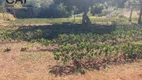 Foto 3 de Fazenda/Sítio com 4 Quartos à venda, 400m² em Zona Rural, Espírito Santo do Pinhal