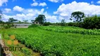 Foto 16 de Fazenda/Sítio com 3 Quartos à venda, 450m² em Centro, Lapa