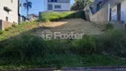 Foto 2 de Lote/Terreno à venda, 331m² em Centro, Viamão