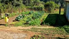 Foto 41 de Fazenda/Sítio com 3 Quartos à venda, 48000m² em Maracanã, Jarinu