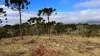 Foto 10 de Lote/Terreno à venda, 20000m² em Centro, Urubici