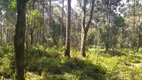 Foto 23 de Fazenda/Sítio com 1 Quarto à venda, 1m² em Zona Rural, Campo Alegre