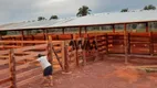 Foto 17 de Fazenda/Sítio à venda, 87120000m² em Setor Central, Araguaína