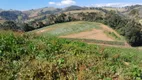 Foto 17 de Fazenda/Sítio à venda, 300000m² em Zona Rural, Maria da Fé