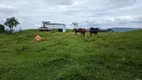 Foto 8 de Fazenda/Sítio com 3 Quartos à venda, 120m² em Distrito de Passo Manso, Taió