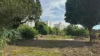 Foto 2 de Lote/Terreno para alugar, 1902m² em Sertao do Maruim, São José