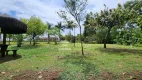 Foto 4 de Lote/Terreno à venda, 500m² em Condominio Santa Adelia, Vargem Grande Paulista