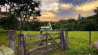 Foto 10 de Fazenda/Sítio com 2 Quartos à venda, 96000m² em Zona Rural, Goianápolis