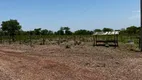 Foto 24 de Fazenda/Sítio com 2 Quartos à venda, 180m² em Zona Rural, Nossa Senhora do Livramento