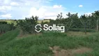 Foto 5 de Fazenda/Sítio com 2 Quartos à venda, 700m² em Reforma Agraria, Valinhos
