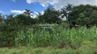 Foto 21 de Fazenda/Sítio com 3 Quartos à venda, 5000m² em Estância Vale das Brisas , Anápolis
